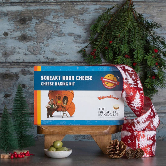 Wallace & Gromit Squeaky Moon Cheese kit with red Christmas ribbon