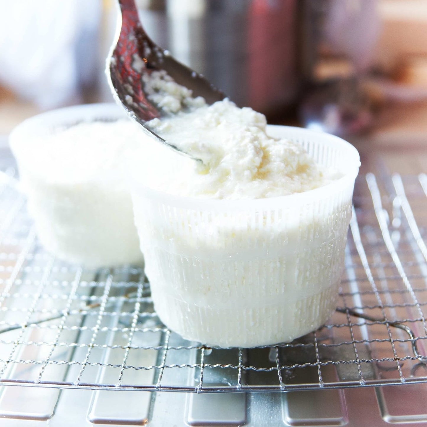 The Ultimate Cheese Making Kit