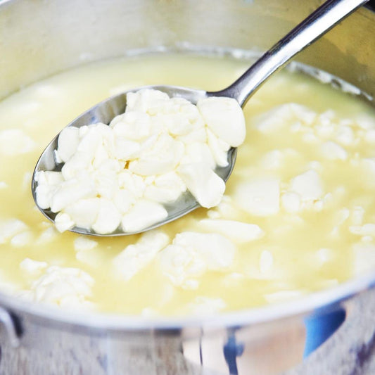 The Mediterranean Cheese Making Kit