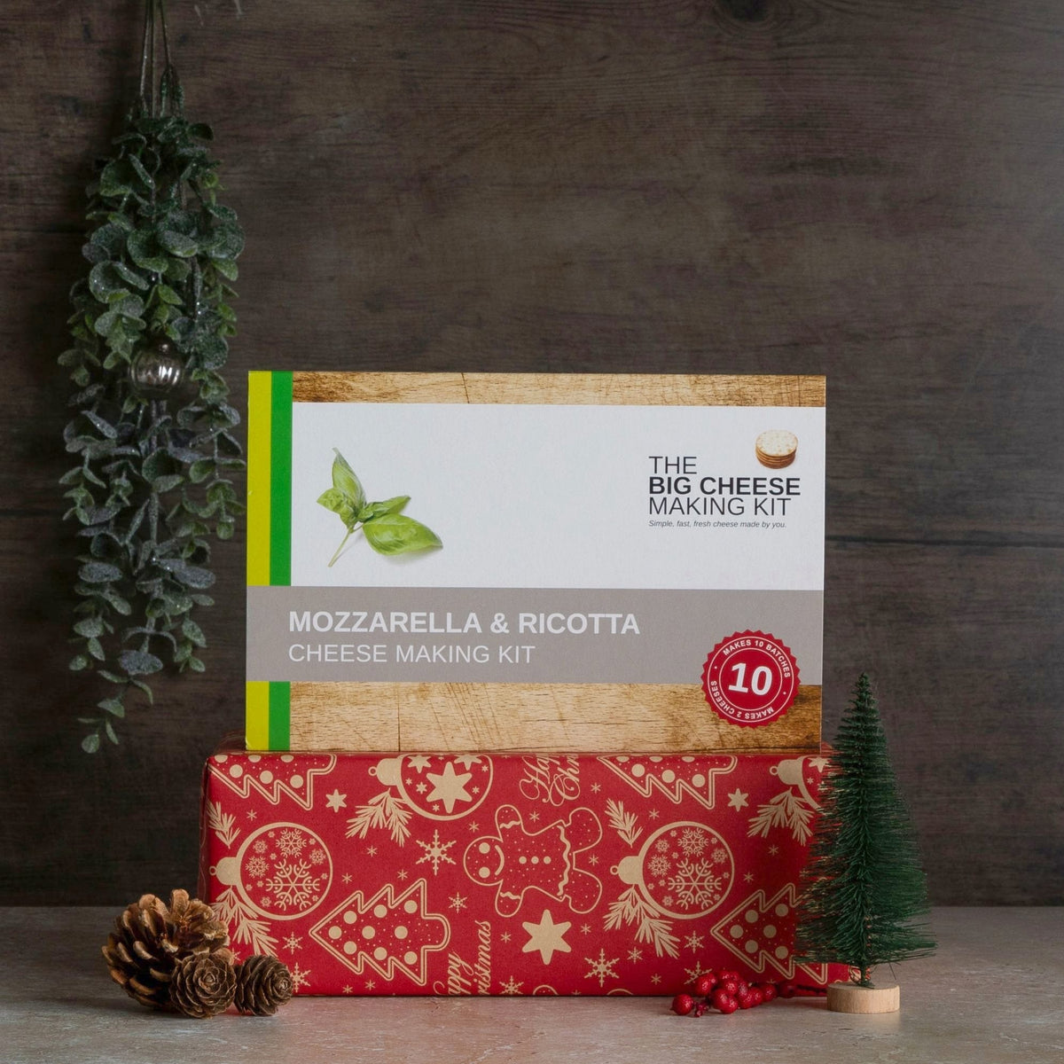 Mozzarella & Ricotta Cheese Making Kit on a red wrapped Christmas present