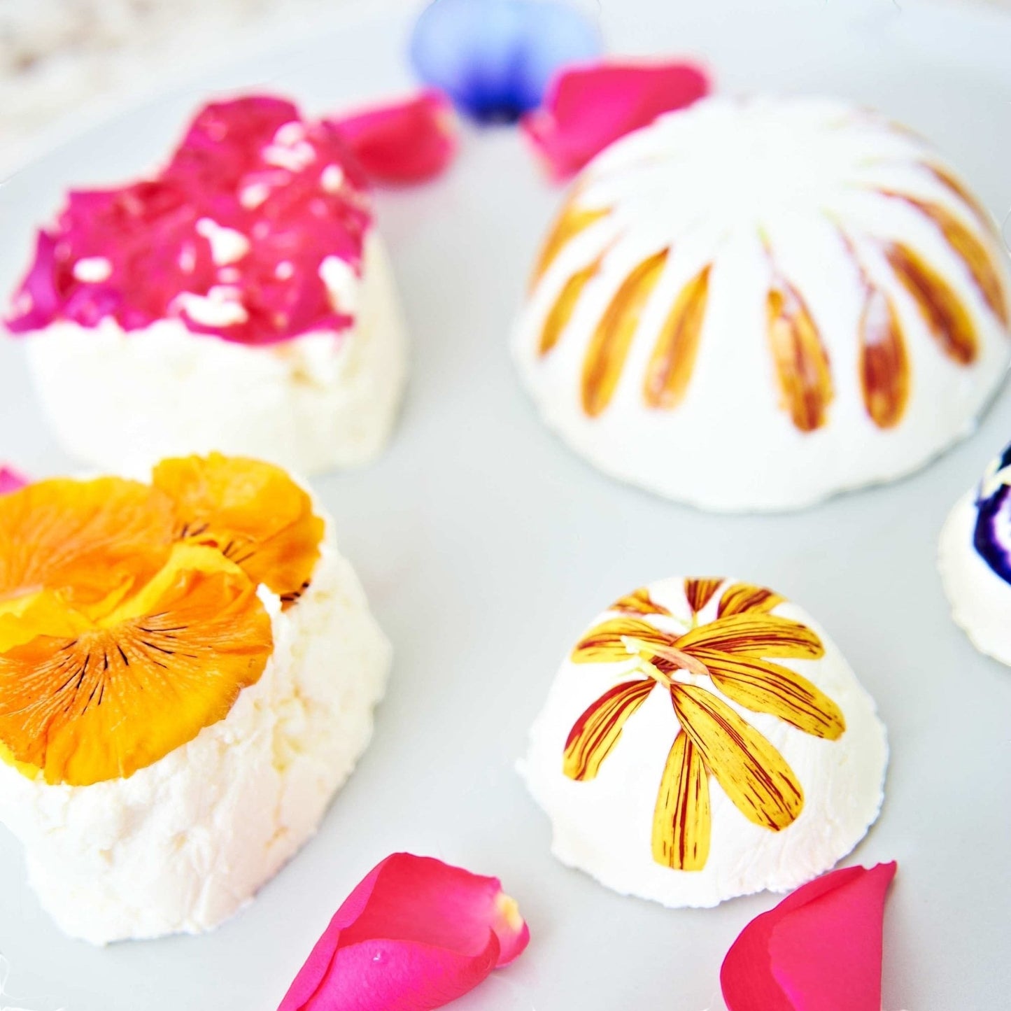 Big Cheese Making Kit: Homemade goat cheese adorned with edible flowers and rose petals.
